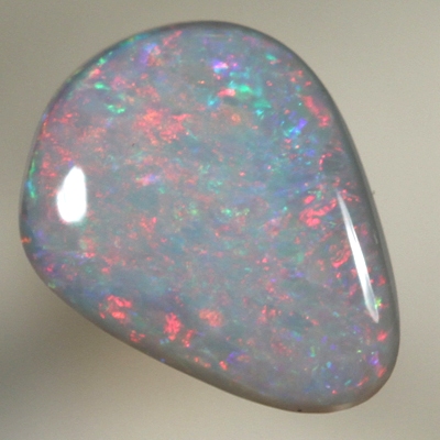 SOLID SEMI BLACK OPAL Bright Floral Harlequin pattern